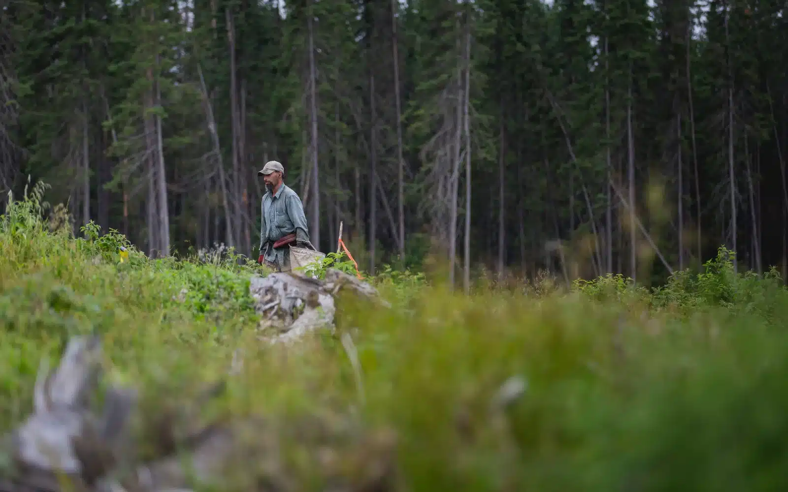 A person wearing a cap and carrying equipment walks through a lush, green forest, akin to a journey of pulmonary rehab. The background is filled with tall trees, while the blurred grass and foliage in the foreground accentuate nature's sense of exploration and rejuvenation.